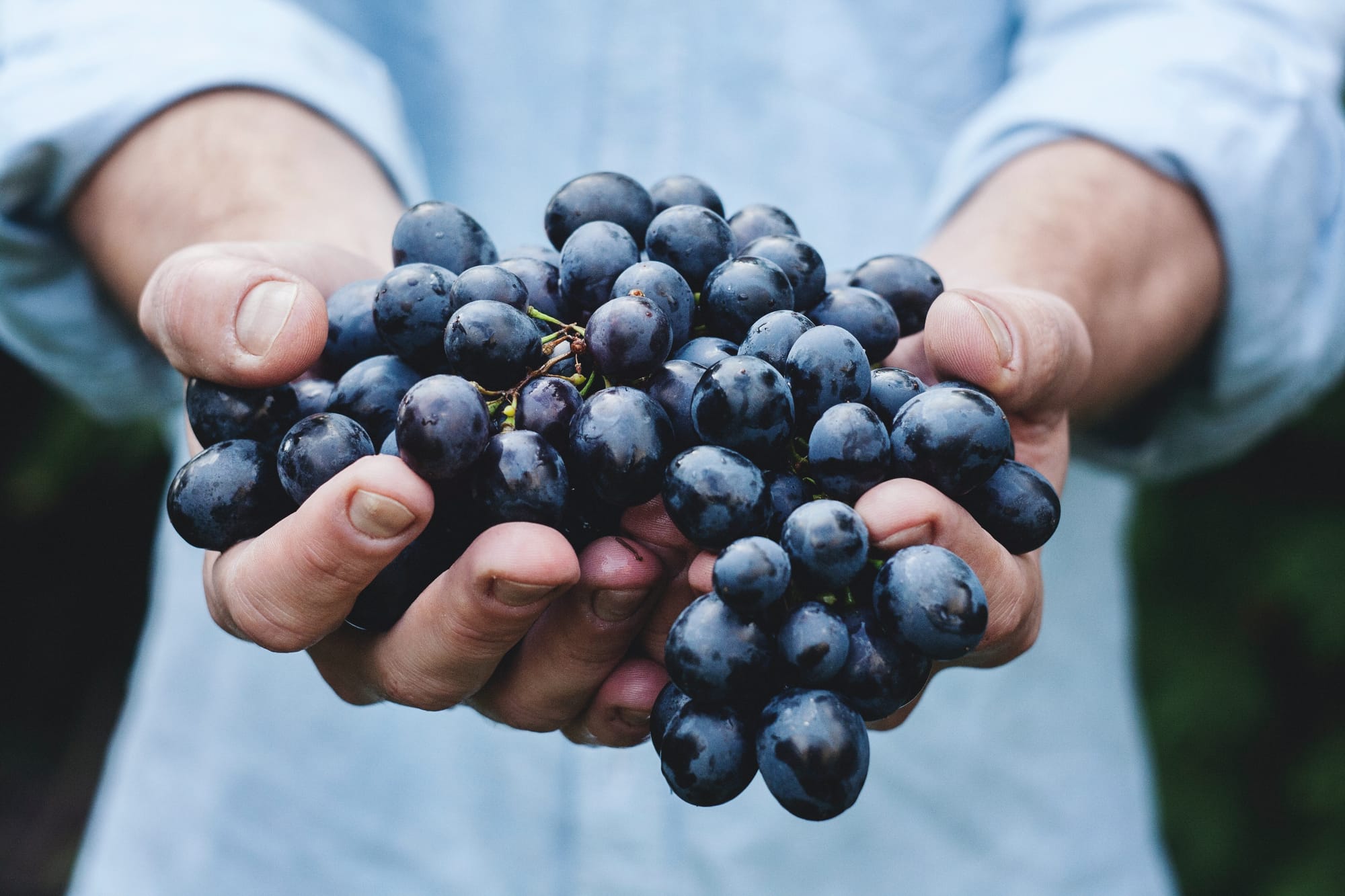 Mgr Thierry Scherrer au soutien des vignerons