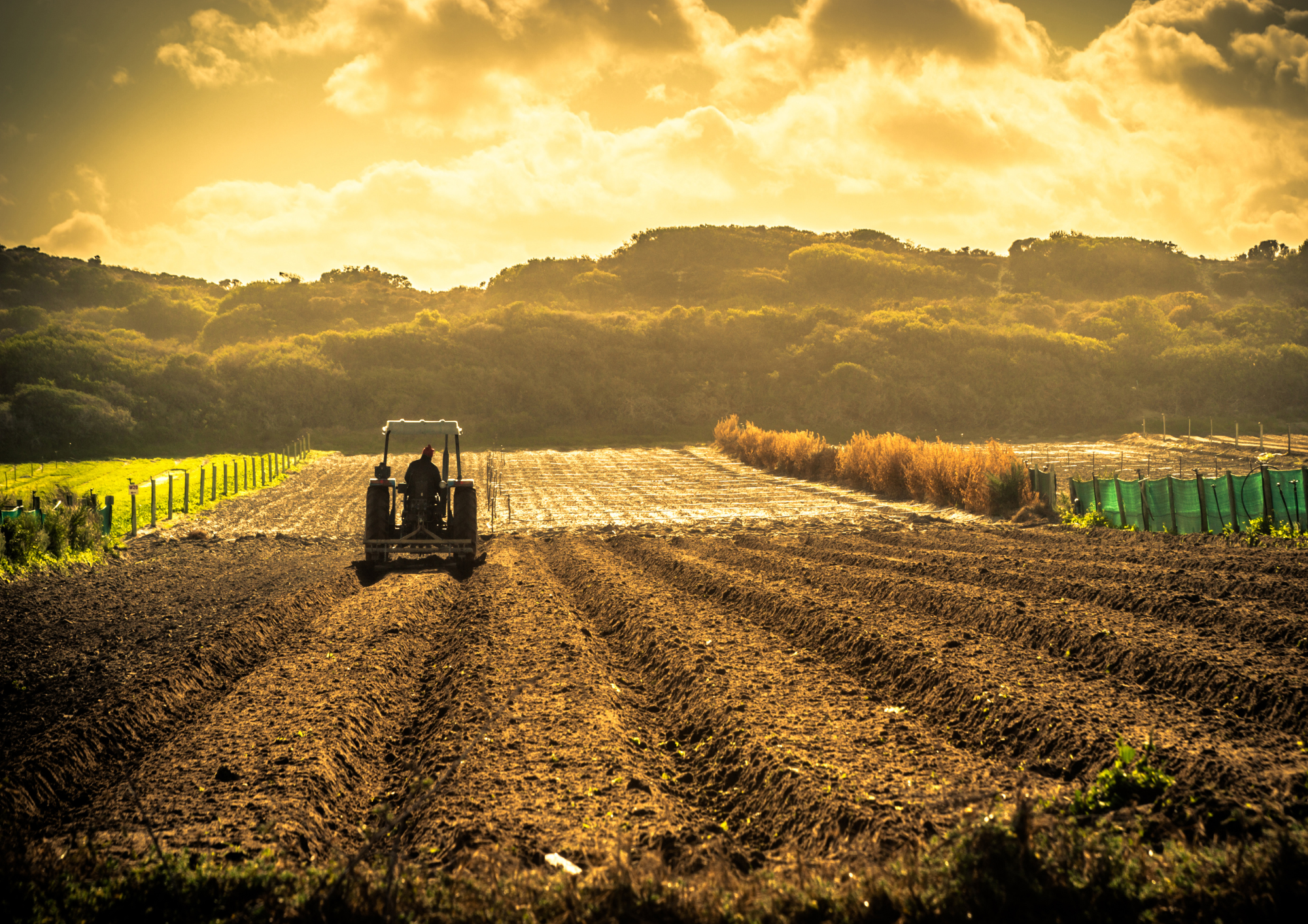 Message de la Conférence des évêques de France en soutien aux éleveurs