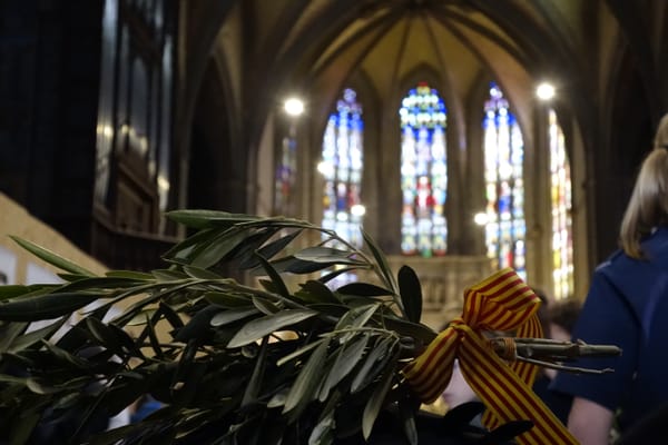 Messe des Rameaux 2024, retour en images et homélie