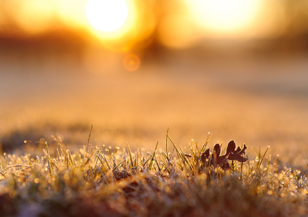 Agenda de l’évêque - NOVEMBRE 2025